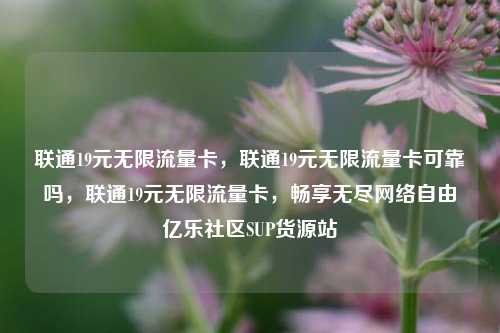 联通19元无限流量卡	，联通19元无限流量卡可靠吗，联通19元无限流量卡，畅享无尽网络自由亿乐社区SUP货源站  第1张