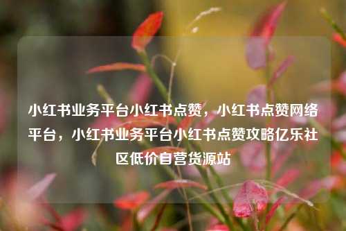 小红书业务平台小红书点赞，小红书点赞网络平台，小红书业务平台小红书点赞攻略亿乐社区低价自营货源站  第1张