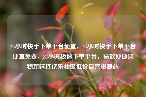 24小时快手下单平台便宜，24小时快手下单平台便宜免费，24小时极速下单平台	，高效便捷购物新选择亿乐社区低价自营货源站  第1张