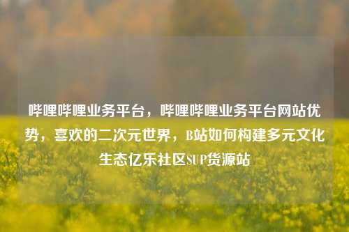 哔哩哔哩业务平台，哔哩哔哩业务平台网站优势	，喜欢的二次元世界，B站如何构建多元文化生态亿乐社区SUP货源站  第1张