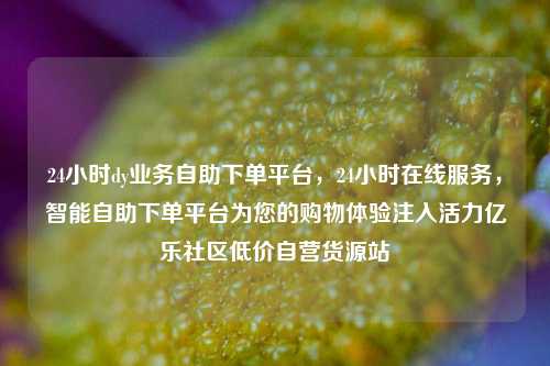 24小时dy业务自助下单平台，24小时在线服务，智能自助下单平台为您的购物体验注入活力亿乐社区低价自营货源站  第1张