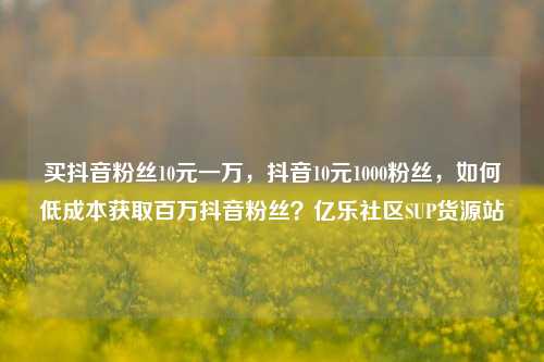 买抖音粉丝10元一万	，抖音10元1000粉丝，如何低成本获取百万抖音粉丝？亿乐社区SUP货源站  第1张