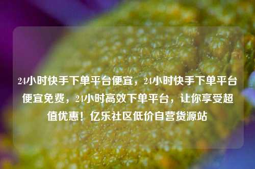 24小时快手下单平台便宜，24小时快手下单平台便宜免费，24小时高效下单平台，让你享受超值优惠！亿乐社区低价自营货源站  第1张