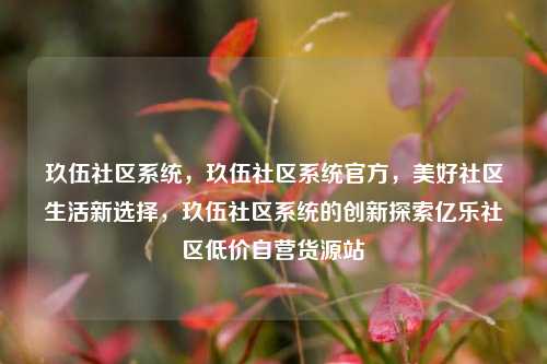 玖伍社区系统，玖伍社区系统官方	，美好社区生活新选择，玖伍社区系统的创新探索亿乐社区低价自营货源站  第1张