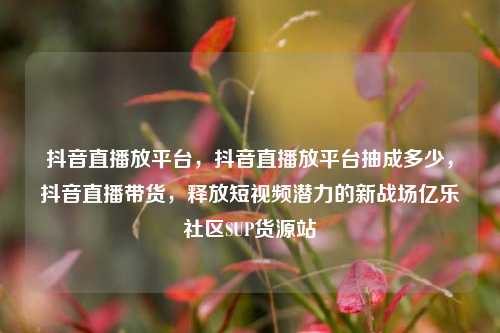 抖音直播放平台	，抖音直播放平台抽成多少，抖音直播带货，释放短视频潜力的新战场亿乐社区SUP货源站  第1张
