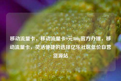 移动流量卡，移动流量卡9元300g官方办理，移动流量卡，灵活便捷的选择亿乐社区低价自营货源站  第1张