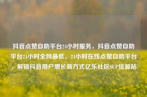 抖音点赞自助平台24小时服务，抖音点赞自助平台24小时全网最低，24小时在线点赞自助平台	，解锁抖音用户增长新方式亿乐社区SUP货源站  第1张