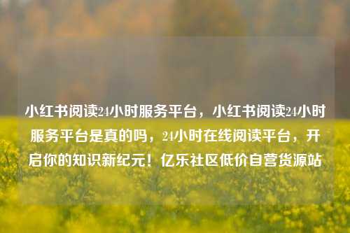 小红书阅读24小时服务平台，小红书阅读24小时服务平台是真的吗，24小时在线阅读平台，开启你的知识新纪元！亿乐社区低价自营货源站  第1张