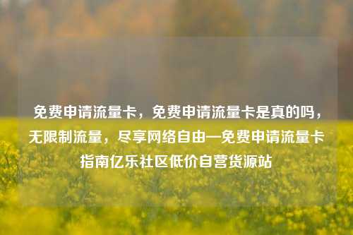 免费申请流量卡，免费申请流量卡是真的吗，无限制流量	，尽享网络自由—免费申请流量卡指南亿乐社区低价自营货源站  第1张