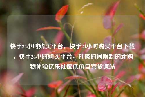快手24小时购买平台，快手24小时购买平台下载	，快手24小时购买平台，打破时间限制的新购物体验亿乐社区低价自营货源站  第1张