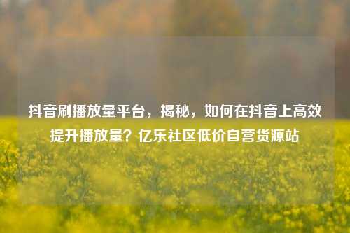 抖音刷播放量平台，揭秘，如何在抖音上高效提升播放量？亿乐社区低价自营货源站  第1张