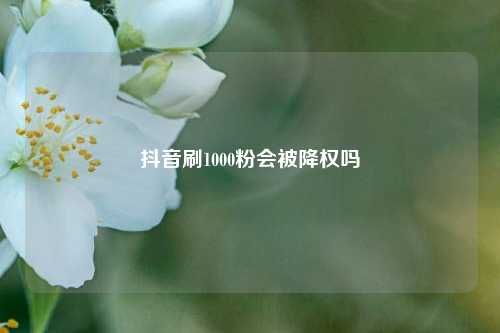 抖音刷1000粉会被降权吗  第1张