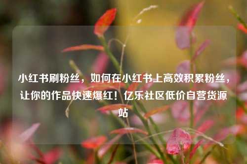 小红书刷粉丝，如何在小红书上高效积累粉丝，让你的作品快速爆红！亿乐社区低价自营货源站  第1张
