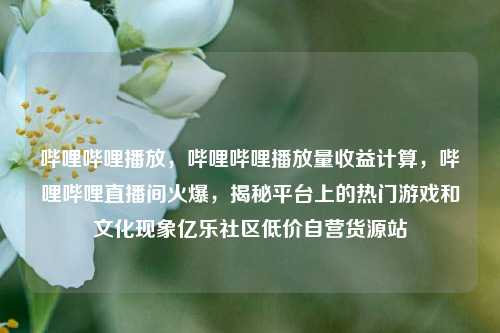 哔哩哔哩播放，哔哩哔哩播放量收益计算，哔哩哔哩直播间火爆，揭秘平台上的热门游戏和文化现象亿乐社区低价自营货源站  第1张
