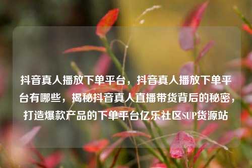 抖音真人播放下单平台，抖音真人播放下单平台有哪些，揭秘抖音真人直播带货背后的秘密，打造爆款产品的下单平台亿乐社区SUP货源站  第1张