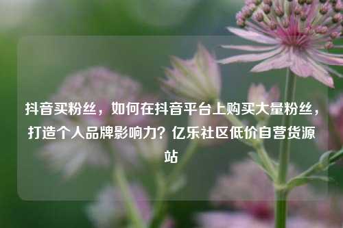 抖音买粉丝，如何在抖音平台上购买大量粉丝，打造个人品牌影响力？亿乐社区低价自营货源站  第1张