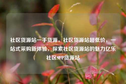 社区货源站一手货源，社区货源站超低价	，一站式采购新体验，探索社区货源站的魅力亿乐社区SUP货源站  第1张