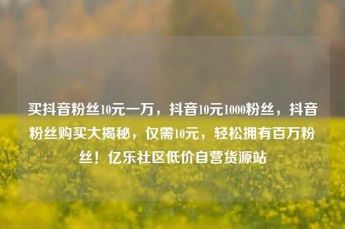 买抖音粉丝10元一万，抖音10元1000粉丝，抖音粉丝购买大揭秘，仅需10元，轻松拥有百万粉丝！亿乐社区低价自营货源站  第1张