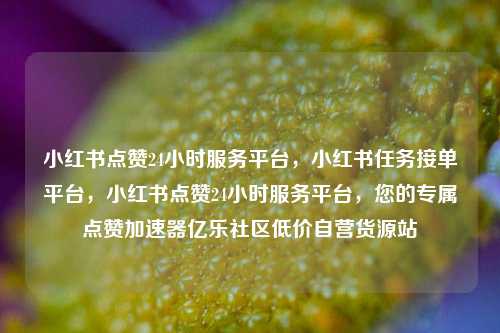 小红书点赞24小时服务平台，小红书任务接单平台，小红书点赞24小时服务平台，您的专属点赞加速器亿乐社区低价自营货源站  第1张