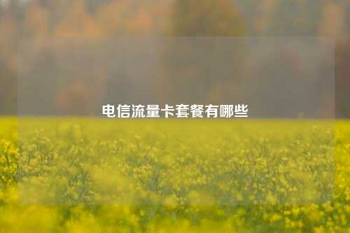 电信流量卡套餐有哪些  第1张