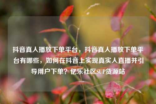 抖音真人播放下单平台，抖音真人播放下单平台有哪些，如何在抖音上实现真实人直播并引导用户下单？亿乐社区SUP货源站  第1张