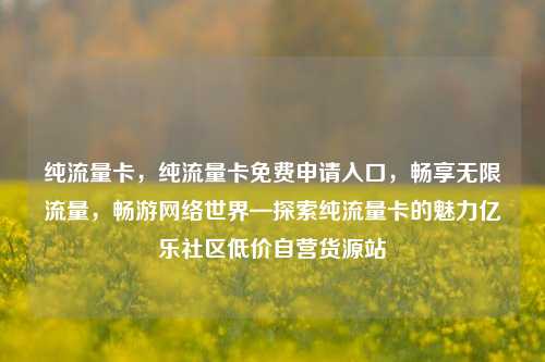 纯流量卡，纯流量卡免费申请入口，畅享无限流量，畅游网络世界—探索纯流量卡的魅力亿乐社区低价自营货源站  第1张