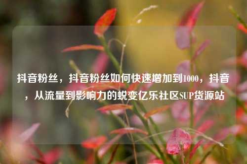 抖音粉丝，抖音粉丝如何快速增加到1000，抖音，从流量到影响力的蜕变亿乐社区SUP货源站  第1张