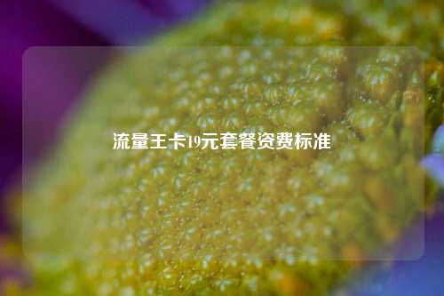 流量王卡19元套餐资费标准  第1张