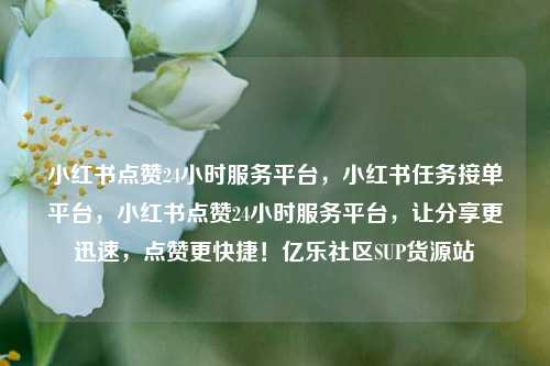 小红书点赞24小时服务平台，小红书任务接单平台，小红书点赞24小时服务平台，让分享更迅速，点赞更快捷！亿乐社区SUP货源站  第1张