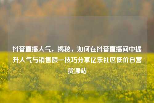 抖音直播人气，揭秘，如何在抖音直播间中提升人气与销售额—技巧分享亿乐社区低价自营货源站  第1张
