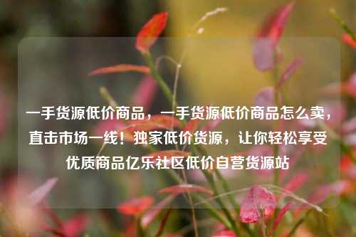 一手货源低价商品，一手货源低价商品怎么卖，直击市场一线！独家低价货源，让你轻松享受优质商品亿乐社区低价自营货源站  第1张