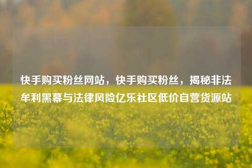 快手购买粉丝网站，快手购买粉丝，揭秘非法牟利黑幕与法律风险亿乐社区低价自营货源站  第1张