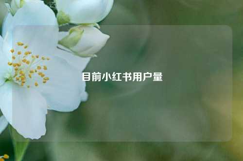 目前小红书用户量  第1张