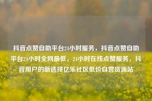 抖音点赞自助平台24小时服务，抖音点赞自助平台24小时全网最低，24小时在线点赞服务，抖音用户的新选择亿乐社区低价自营货源站  第1张