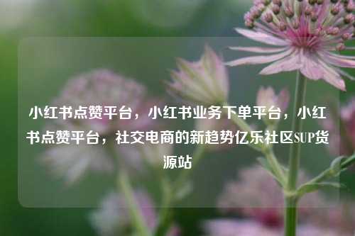 小红书点赞平台，小红书业务下单平台，小红书点赞平台，社交电商的新趋势亿乐社区SUP货源站  第1张
