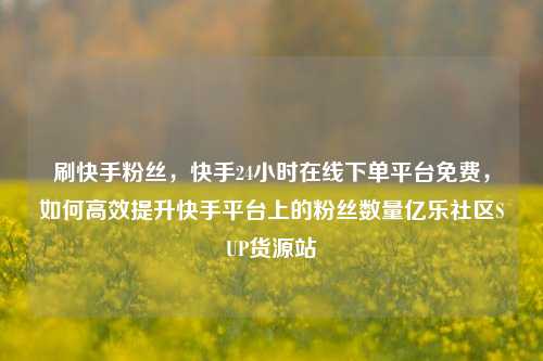 刷快手粉丝，快手24小时在线下单平台免费，如何高效提升快手平台上的粉丝数量亿乐社区SUP货源站  第1张
