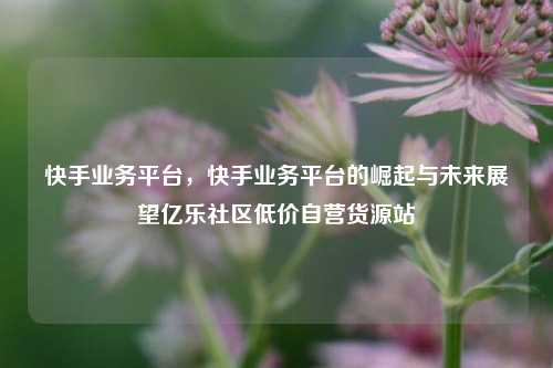 快手业务平台，快手业务平台的崛起与未来展望亿乐社区低价自营货源站  第1张