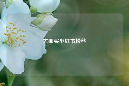 去哪买小红书粉丝  第1张