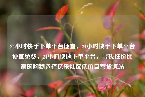 24小时快手下单平台便宜，24小时快手下单平台便宜免费，24小时快速下单平台，寻找性价比高的购物选择亿乐社区低价自营货源站  第1张