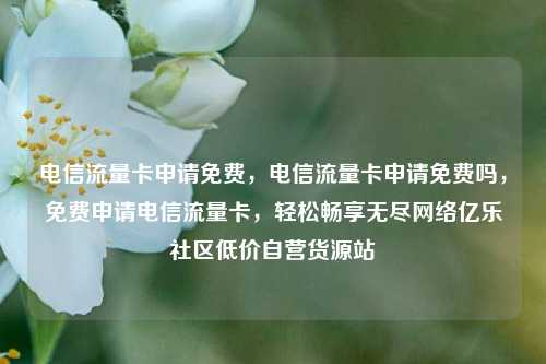 电信流量卡申请免费，电信流量卡申请免费吗，免费申请电信流量卡，轻松畅享无尽网络亿乐社区低价自营货源站  第1张