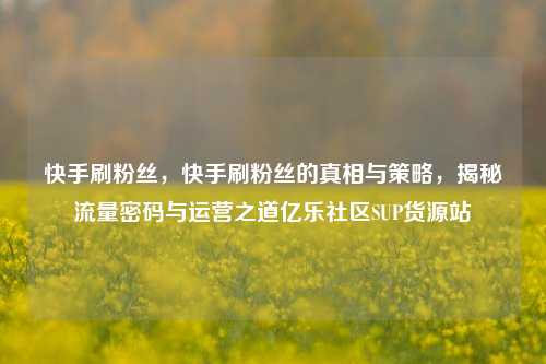 快手刷粉丝，快手刷粉丝的真相与策略，揭秘流量密码与运营之道亿乐社区SUP货源站  第1张