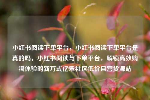 小红书阅读下单平台，小红书阅读下单平台是真的吗，小红书阅读与下单平台，解锁高效购物体验的新方式亿乐社区低价自营货源站  第1张