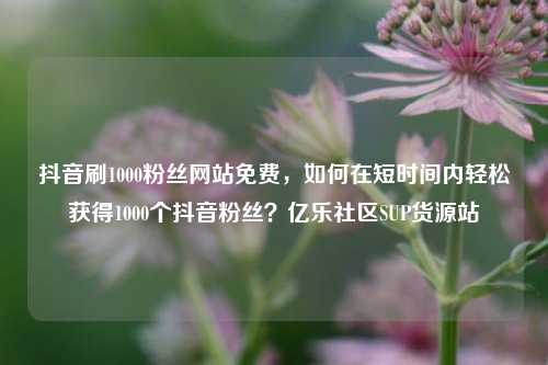 抖音刷1000粉丝网站免费，如何在短时间内轻松获得1000个抖音粉丝？亿乐社区SUP货源站  第1张