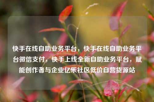 快手在线自助业务平台，快手在线自助业务平台微信支付	，快手上线全新自助业务平台，赋能创作者与企业亿乐社区低价自营货源站  第1张