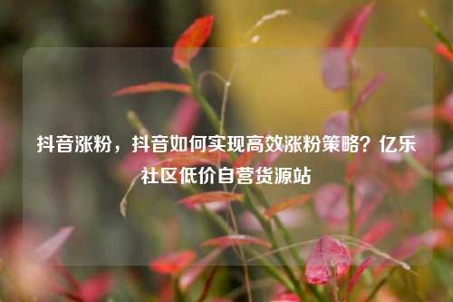 抖音涨粉，抖音如何实现高效涨粉策略？亿乐社区低价自营货源站  第1张