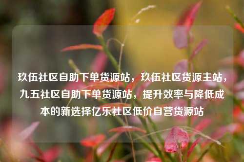 玖伍社区自助下单货源站，玖伍社区货源主站，九五社区自助下单货源站，提升效率与降低成本的新选择亿乐社区低价自营货源站  第1张