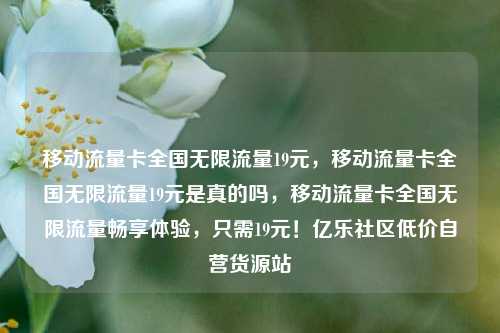 移动流量卡全国无限流量19元，移动流量卡全国无限流量19元是真的吗，移动流量卡全国无限流量畅享体验，只需19元！亿乐社区低价自营货源站  第1张