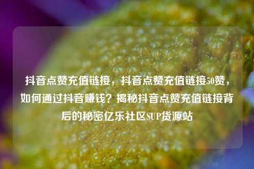 抖音点赞充值链接	，抖音点赞充值链接50赞，如何通过抖音赚钱？揭秘抖音点赞充值链接背后的秘密亿乐社区SUP货源站  第1张