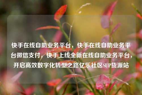 快手在线自助业务平台，快手在线自助业务平台微信支付，快手上线全新在线自助业务平台，开启高效数字化转型之路亿乐社区SUP货源站  第1张
