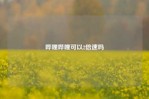 哔哩哔哩可以2倍速吗  第1张